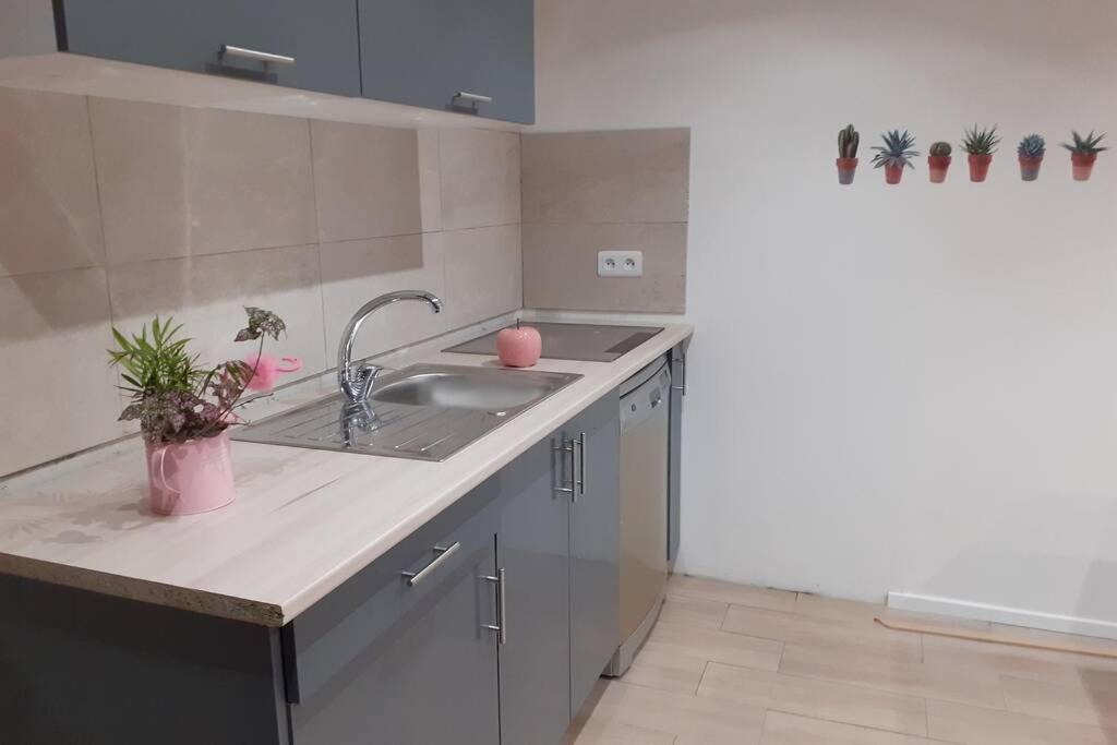 Appartement 3 Pieces Dans Villa Individuelle Falicon المظهر الخارجي الصورة